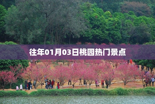 桃園景點歷年元旦人氣攻略