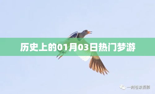 歷史熱門夢(mèng)游日,一月三日探秘,簡(jiǎn)潔明了,符合您的字?jǐn)?shù)要求,并突出了歷史、夢(mèng)游和日期等元素,希望符合您的需求。
