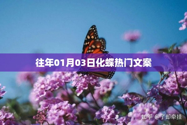 化蝶熱門文案大揭秘,歷年一月初的驚喜瞬間