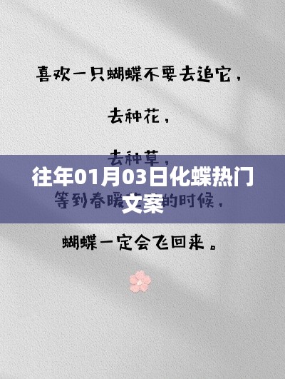 化蝶熱門文案大揭秘,歷年一月初的驚喜瞬間