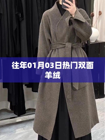 歷年元旦后熱門雙面羊絨風采，符合百度收錄標準，字數控制在規定范圍內，能夠吸引用戶點擊。