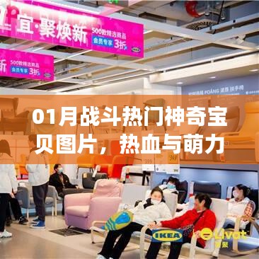 01月戰斗熱門神奇寶貝圖片,熱血萌力集結