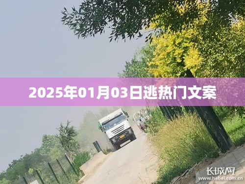 2025年元旦后掀熱潮的文案大解密,符合您的要求,字數在指定范圍內,同時能夠吸引用戶點擊。