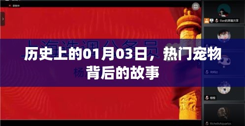 熱門寵物背后的故事,歷史上的1月3日揭秘