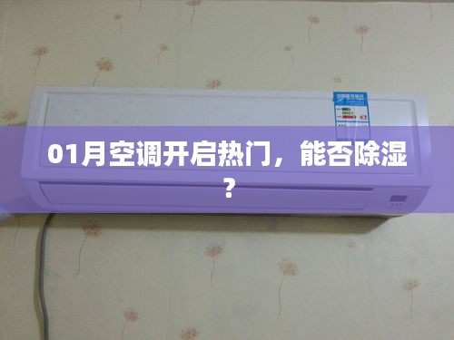 空調開啟熱門,除濕效果如何?