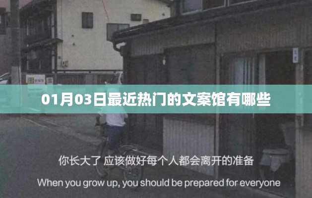 『最新熱門文案館大揭秘，01月03日榜單更新』