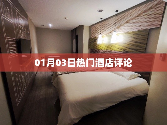 熱門酒店評論速遞,精選住宿體驗分享