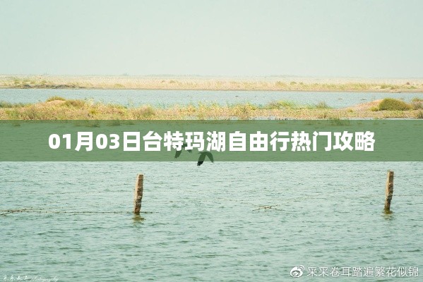 臺特瑪湖自由行指南，熱門攻略一網打盡