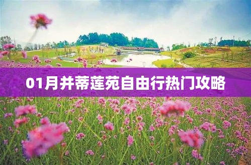 并蒂蓮苑自由行指南,熱門攻略一網(wǎng)打盡!