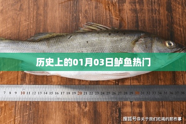 歷史上的鱸魚盛事,一月三日回顧