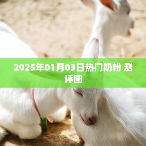 2025年熱門奶粉測評圖全解析