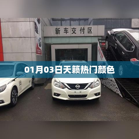 天籟熱門顏色大盤點，時尚之選，不容錯過