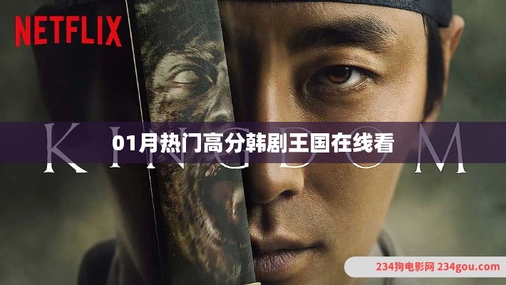 01月熱門高分韓劇王國在線觀看