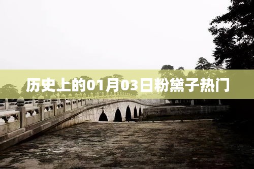 粉黛子熱門事件回顧,歷史上的今天,一月三日這一天