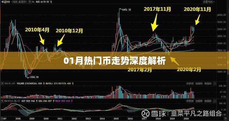 深度解析,一月份熱門數字貨幣走勢分析
