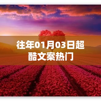 超酷文案精選,歷年一月三日熱門回顧
