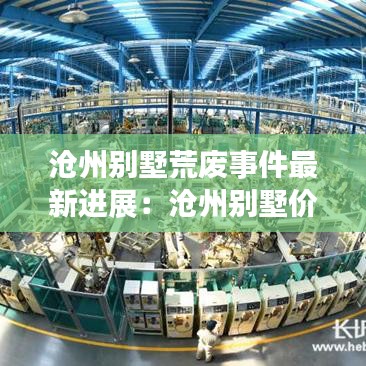 滄州別墅荒廢事件最新進展:滄州別墅價格多少錢一平