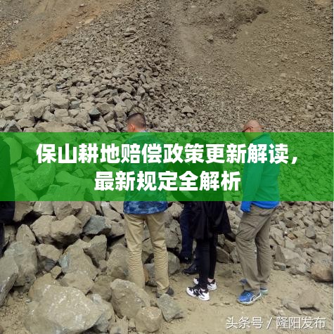 保山耕地賠償政策更新解讀，最新規(guī)定全解析