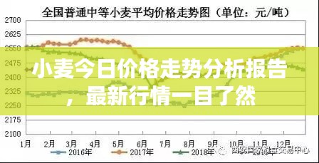 小麥今日價(jià)格走勢(shì)分析報(bào)告，最新行情一目了然