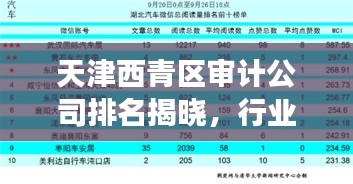 天津西青區(qū)審計(jì)公司排名揭曉,行業(yè)影響力榜單重磅出爐!