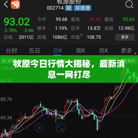 牧原今日行情大揭秘,最新消息一網打盡