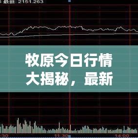 牧原今日行情大揭秘,最新消息一網(wǎng)打盡