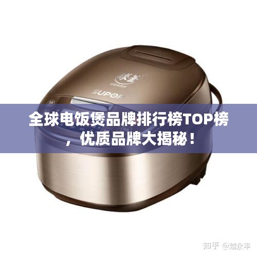 全球電飯煲品牌排行榜TOP榜，優質品牌大揭秘！