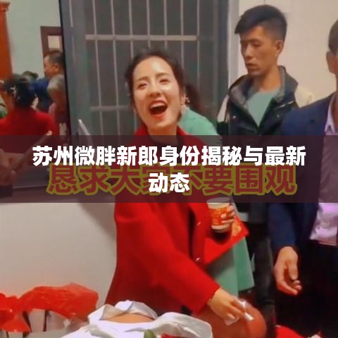 蘇州微胖新郎身份揭秘與最新動態