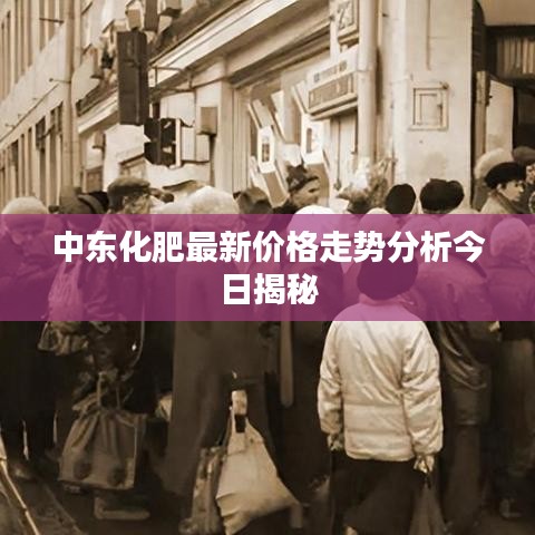 中東化肥最新價格走勢分析今日揭秘
