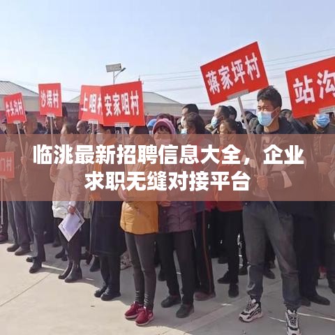 臨洮最新招聘信息大全，企業(yè)求職無(wú)縫對(duì)接平臺(tái)