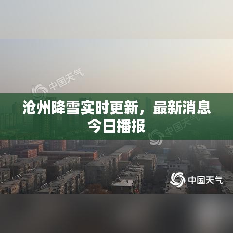 滄州降雪實(shí)時(shí)更新,最新消息今日播報(bào)
