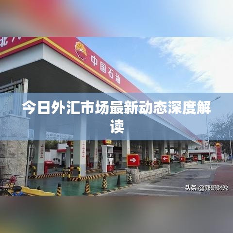 今日外匯市場最新動態深度解讀