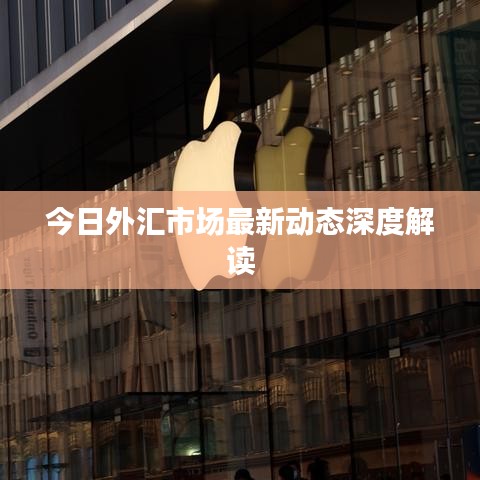 今日外匯市場最新動態深度解讀