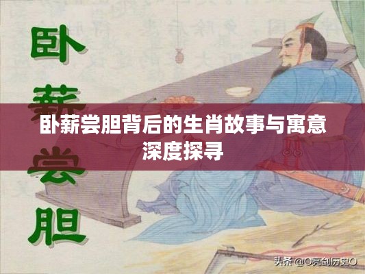 臥薪嘗膽背后的生肖故事與寓意深度探尋
