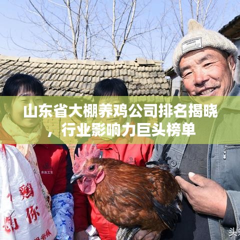 山東省大棚養雞公司排名揭曉,行業影響力巨頭榜單