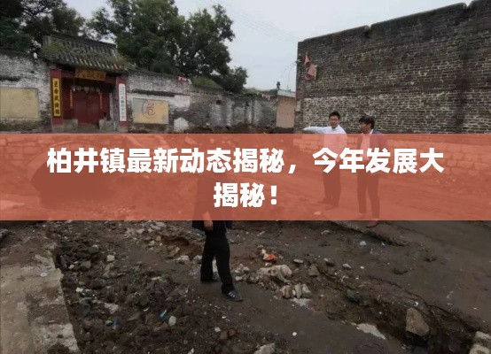 柏井鎮(zhèn)最新動態(tài)揭秘,今年發(fā)展大揭秘!