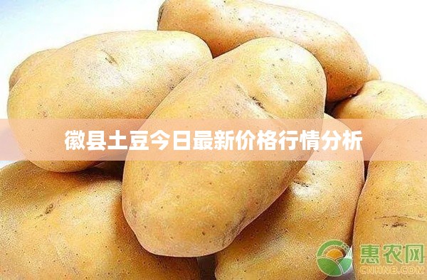 徽縣土豆今日最新價格行情分析