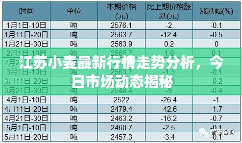 江蘇小麥最新行情走勢分析,今日市場動態揭秘