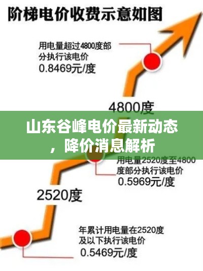 山東谷峰電價最新動態,降價消息解析