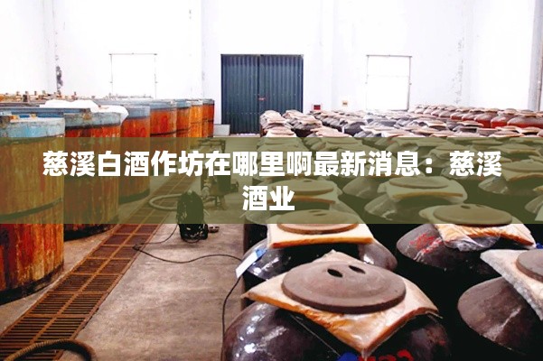 慈溪白酒作坊在哪里啊最新消息：慈溪酒業 