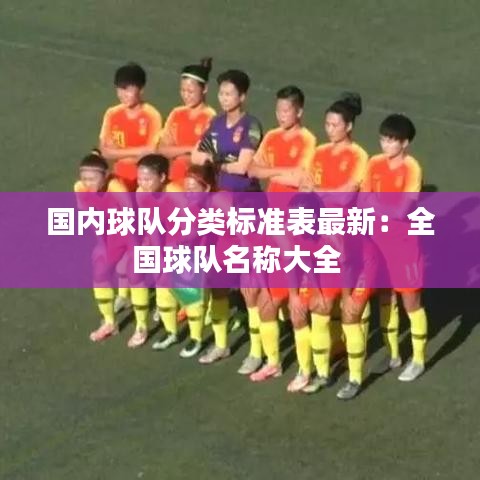 國內球隊分類標準表最新:全國球隊名稱大全
