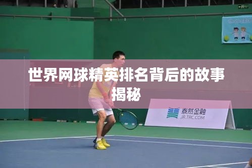 世界網球精英排名背后的故事揭秘