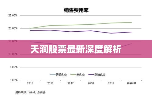 天潤股票最新深度解析
