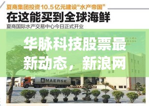 華脈科技股票最新動態，新浪網權威消息一網打盡