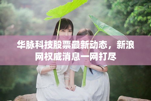 華脈科技股票最新動態,新浪網權威消息一網打盡