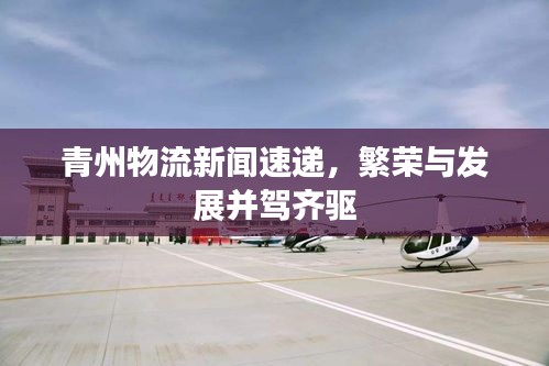 青州物流新聞速遞,繁榮與發(fā)展并駕齊驅(qū)