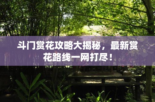 斗門賞花攻略大揭秘,最新賞花路線一網(wǎng)打盡!