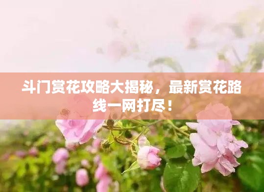 斗門賞花攻略大揭秘,最新賞花路線一網(wǎng)打盡!