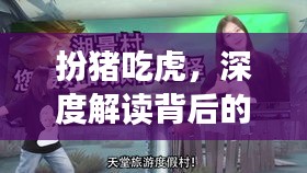 扮豬吃虎,深度解讀背后的故事與真相,百度帶你揭秘!