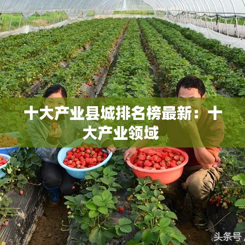 十大產業縣城排名榜最新:十大產業領域